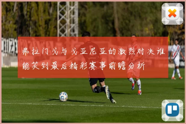 弗拉门戈与戈亚尼亚的激烈对决谁能笑到最后精彩赛事前瞻分析